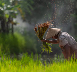 about-three-img-1 alt