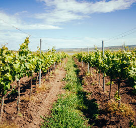 about-three-img-2 alt